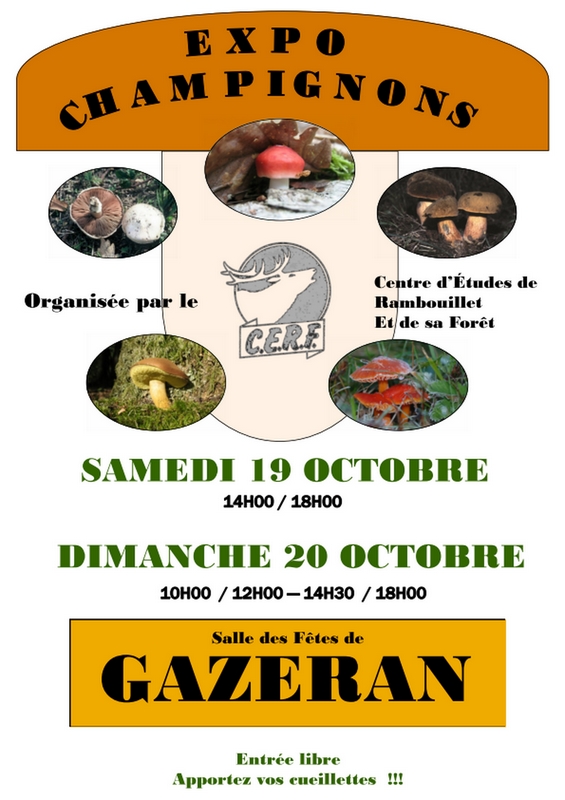2013 10 Expo Champignons Gazeran